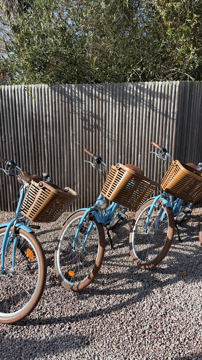 Vélos Malo'Way alignés prêts à louer